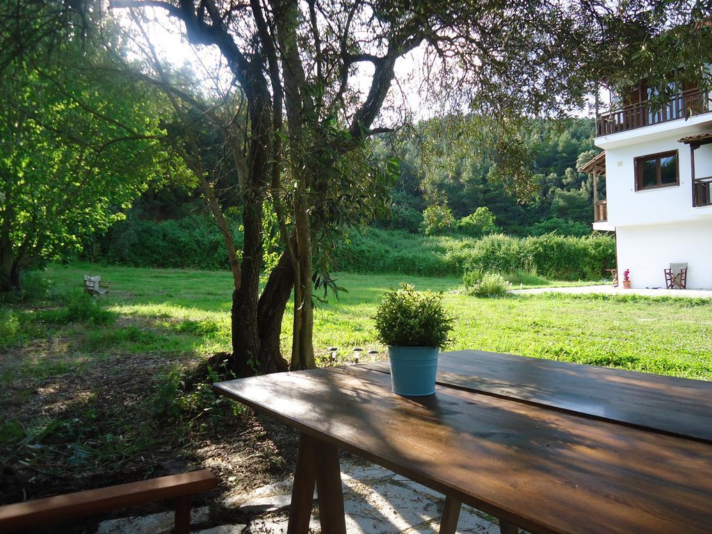 Villa Elaionas Ierissós Exterior foto